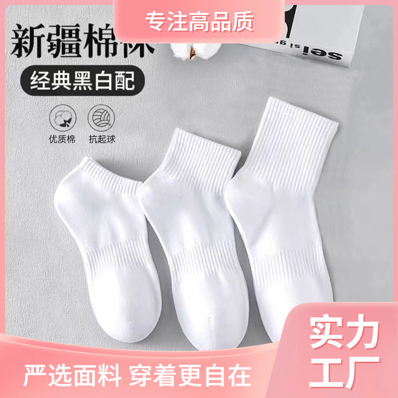 Socks