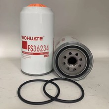FS36234����