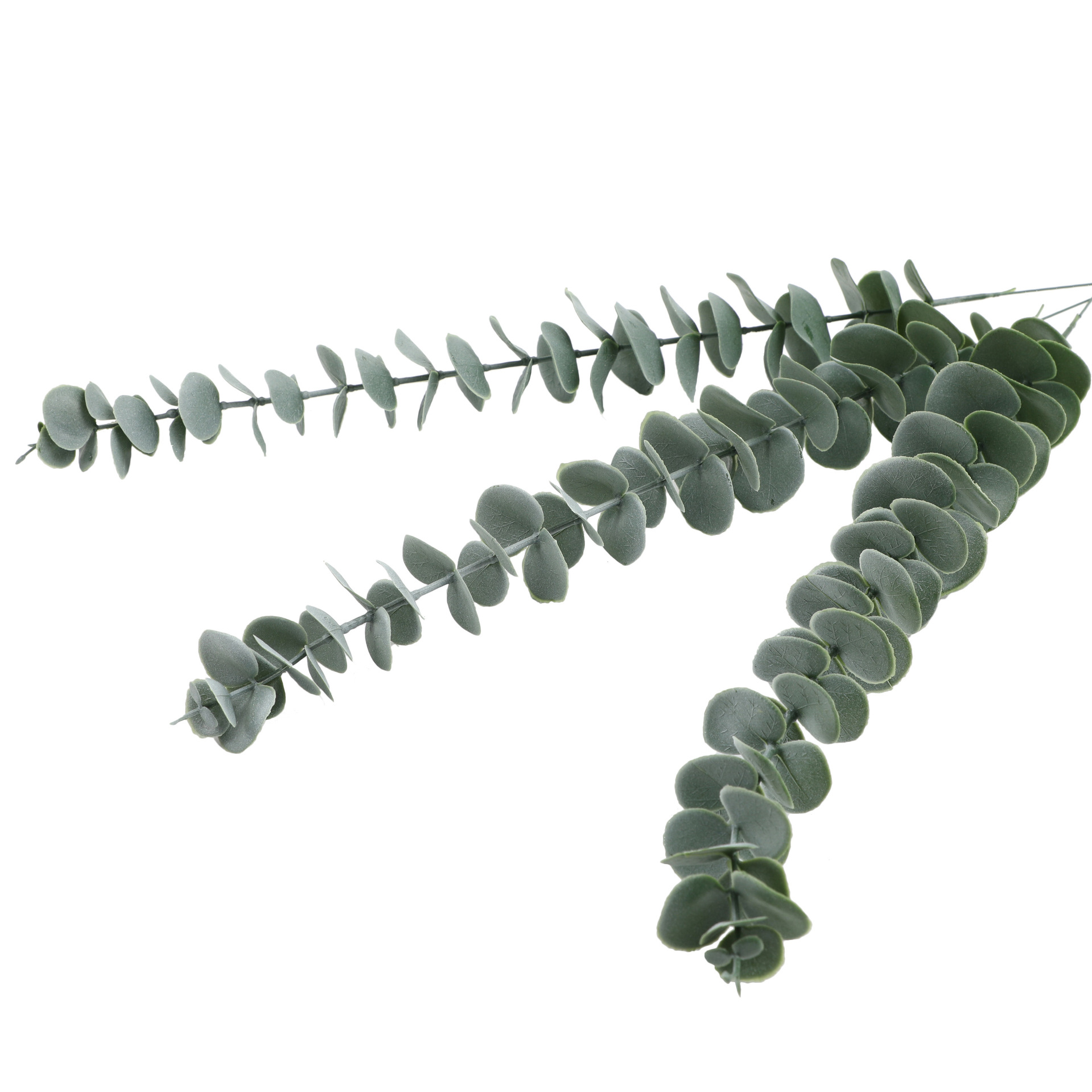 L75#-细节图 (8).jpg