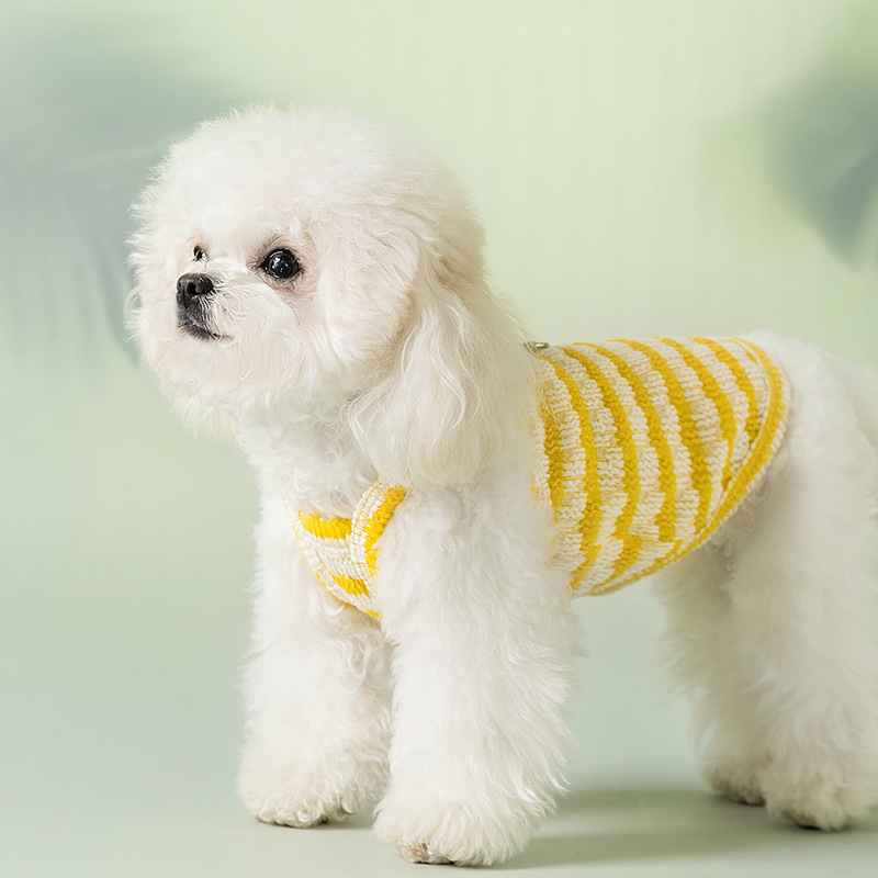 Perro primavera verano delgado transpirable peluche bichón sándwich galleta a rayas gato pequeño perro ropa para mascotas