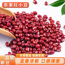 ��؛5��tС���r���Ԯa�A����ɳ���W�۶��ߴ���޲�������s�Z���b