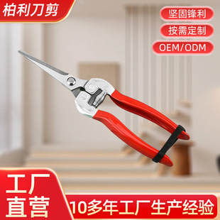 Stainless Steel Grafting Special Fruit Tree Pruning Shears Garden Flower Pruning Shears Orchard Labor-Saving Fruit Picking Pruning Shears Wholesale