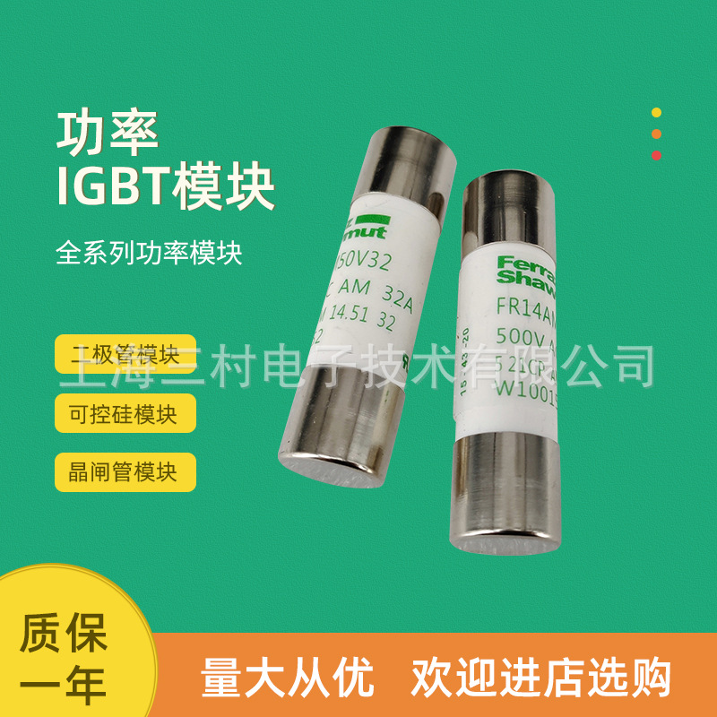 全新熔断器保险丝全新原FR14GG69V2	Y219234 FR14GG69V4	A219765