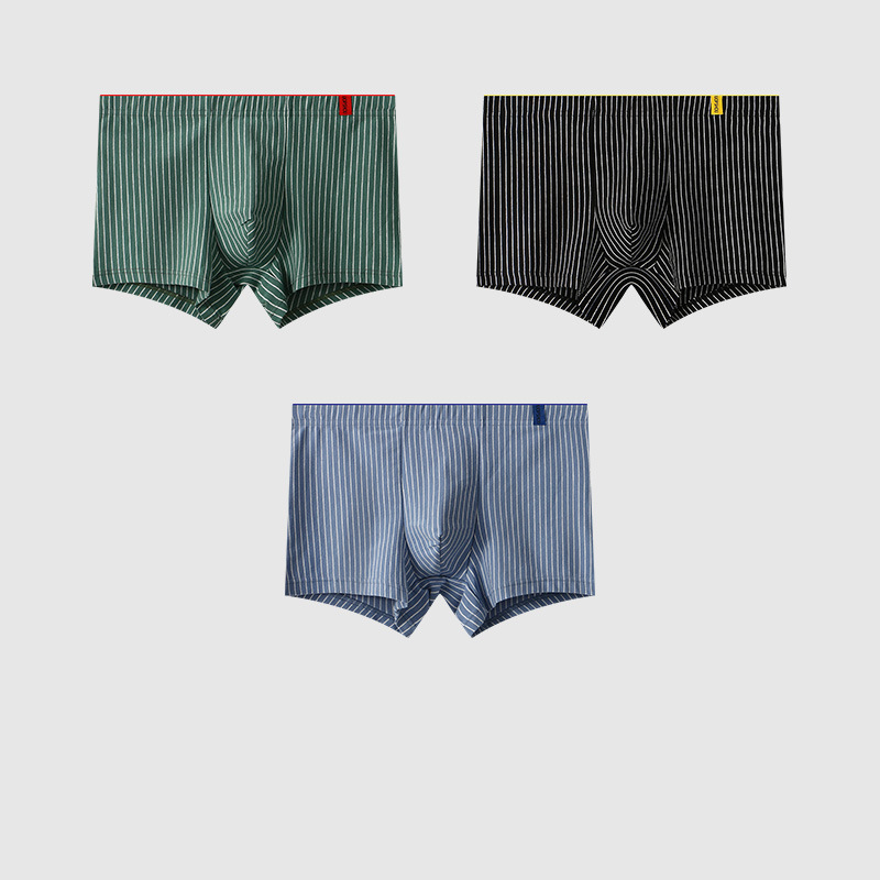 세 팩 (그린 + 블랙 + 블루)