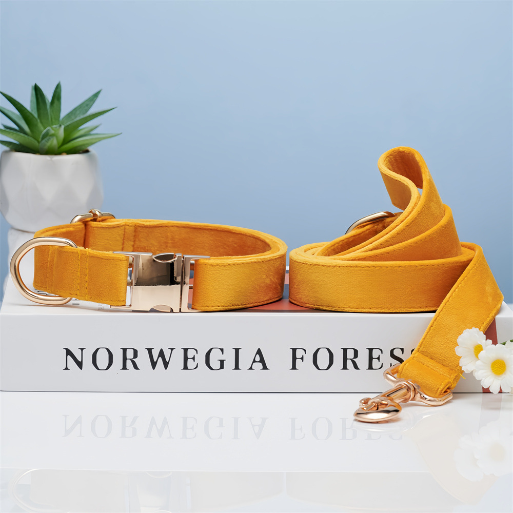 Collar para perros, grabado, perro pequeño anti-pérdida, salir a pasear al perro, correa para el perro, correa para el collar, collar para perros medianos y grandes, cuello de Corgi