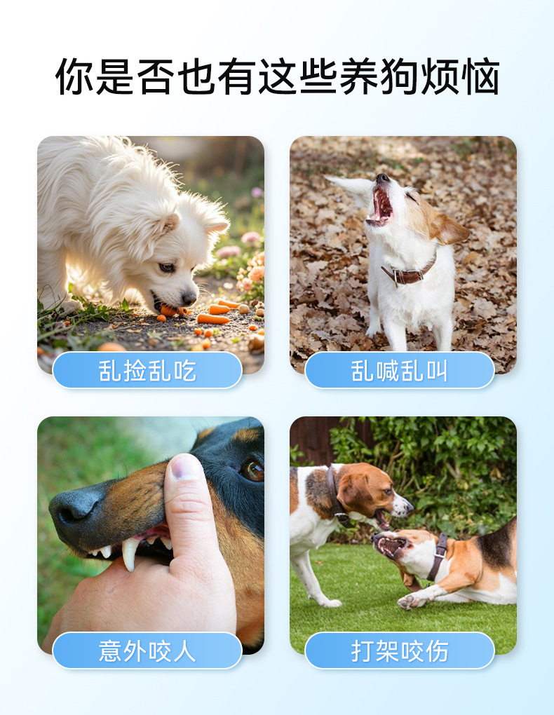 O1CN01nbfvLu1QS8sNbvCv4_!!2206811161974-0-cib.jpg