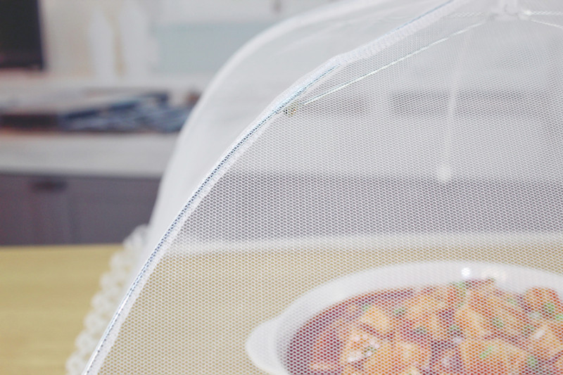 IMG_2303_副本_副本