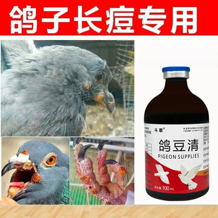 ������Һ�w��ȥ�����������۽�����_ֺ�L�����`�������Fِ������