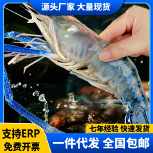 罗氏虾沼虾新鲜大头虾速冻鲜冻冷冻大虾基围虾河虾虎头虾海鲜水产