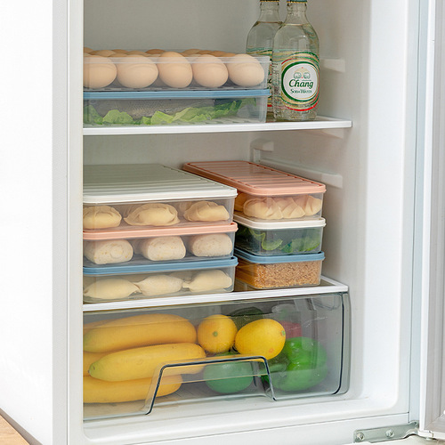 New dumpling refrigerator fresh-keeping storage box wonton noodles quick-cooling fresh-keeping box frozen dumpling box household storage box