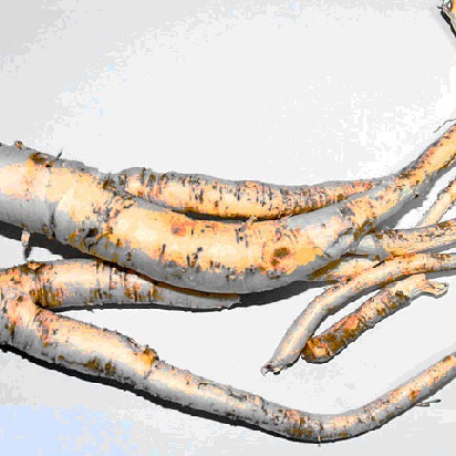 ��Ӧ������ȡҺ\ԭҺ �����Ż�