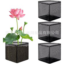 �羳���l͸����������ó����쾰��©��������@ˇˮ��ֲ��Nֲ��