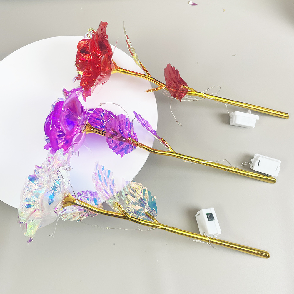 Flores doradas coloridas + lámparas de línea de caja blanca