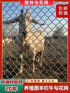 ��\�F�z�W���ڹ����W�Bֳţ�ھW�o�ھW�B�u���o���x�W�B��䓽z�W