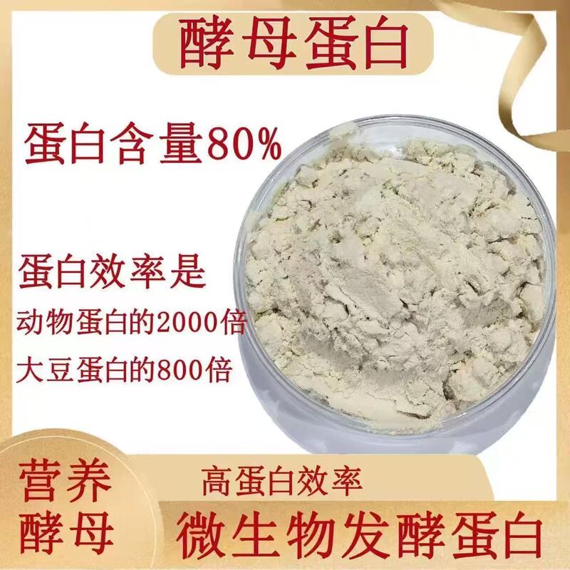 In-Stock Wholesale Angel Yeast Protein F80 Sugar-Free Fat-Free Whey Protein Alternative Protein Powder Substitute