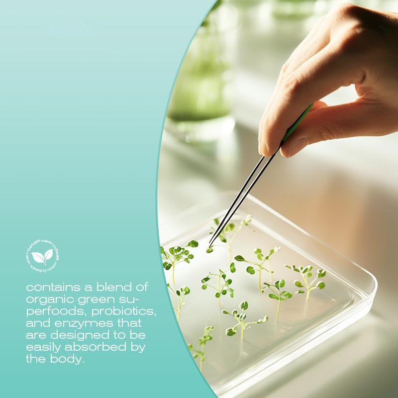 新品TK亚马逊热销款快乐清洁粉happy cleanse益生菌粉浆果/西瓜味|undefined