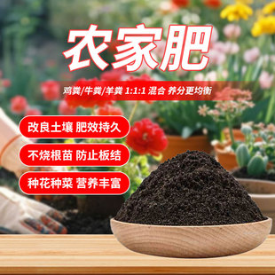 10���b�u�S��Sţ�S�r���ЙC���m����߲˻��ܹ�������ͨ���r�ҷ�