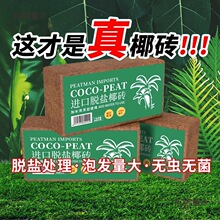 Ҭ�u�I�B���B��ͨ����Ҭ��ֲ�ﻨ���N������Ó�}�ʶ���������̫��