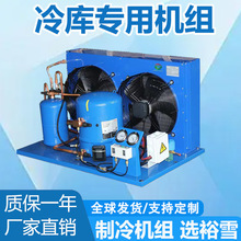 Condensing unit 高性能涡旋冷凝机组冷库冷凝单元冷凝制冷机组