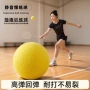 专业家用训练羽毛球