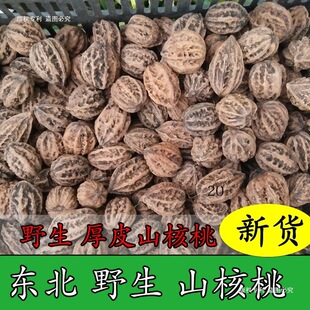 �|��Ұ��ɽ���� ��Ƥ���� Ұ������,ɽ���� 鱘���� ��؛ɽ����