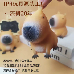 爆款卡皮巴拉大水豚网红解压玩具捏捏新款动物发泄减压玩具批发