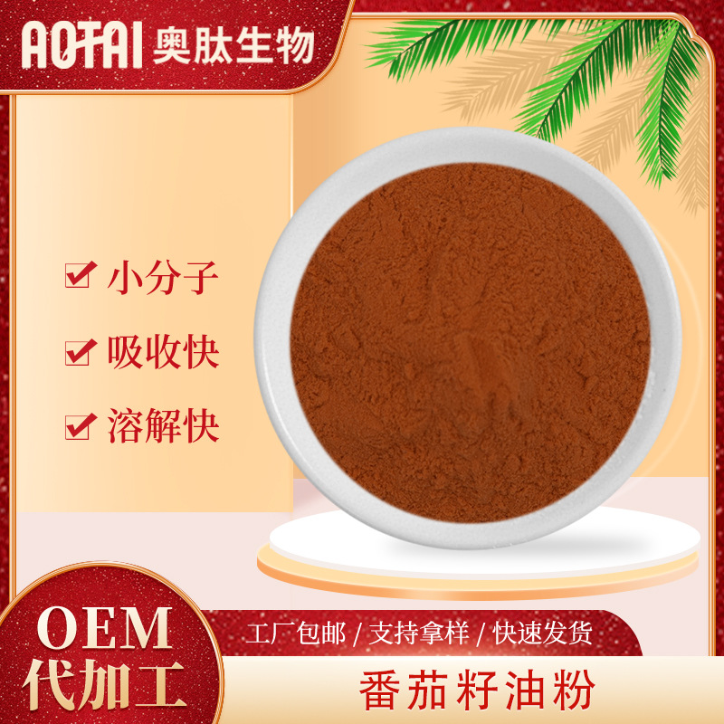 番茄籽油粉 微囊粉 水溶水分散 现货 植物油 现货包邮量大从优