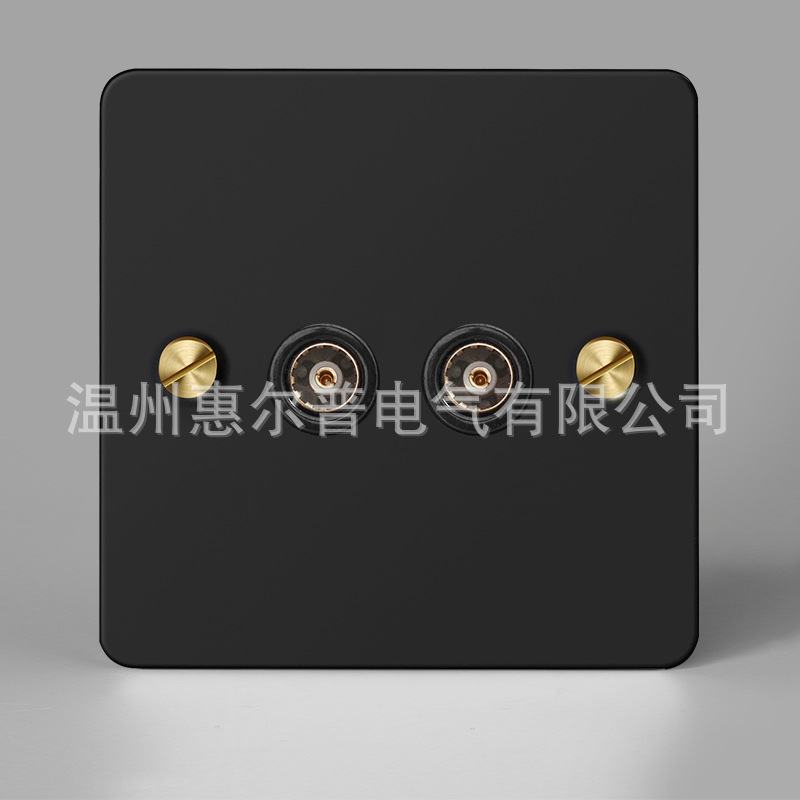 Mounted black retro switch key, light panel stainless steel