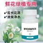 养花园林杀菌植物保鲜剂