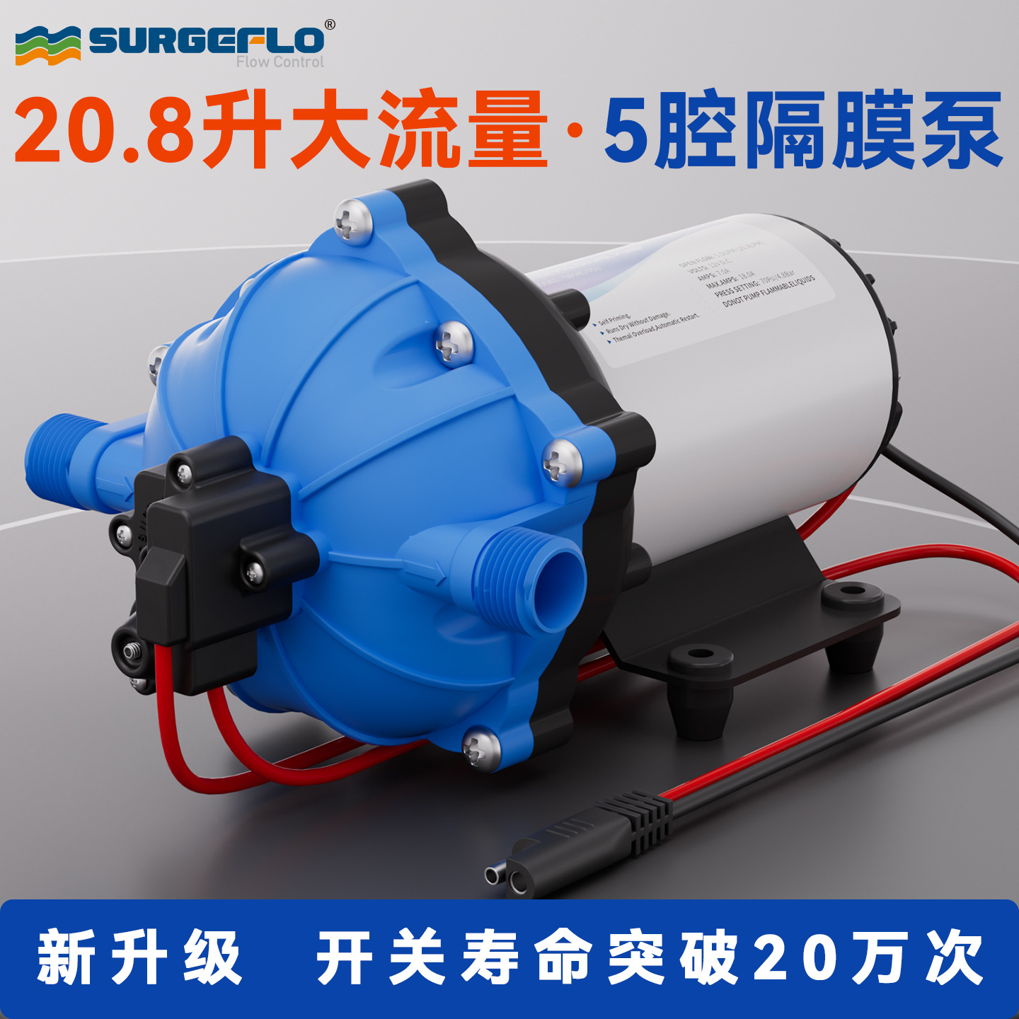 新51款五腔泵大流量隔膜增压水泵高压力洗车喷雾灌溉自吸排抽水泵
