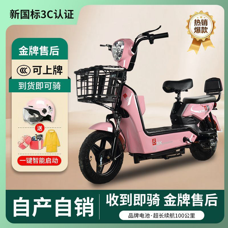 바이탈리티 파우더 여름 방폭 - 원활한 라이딩 배터리 전압: 48V (고구성 [도난 방지 잠금 장치 + 선물 가방 모델])