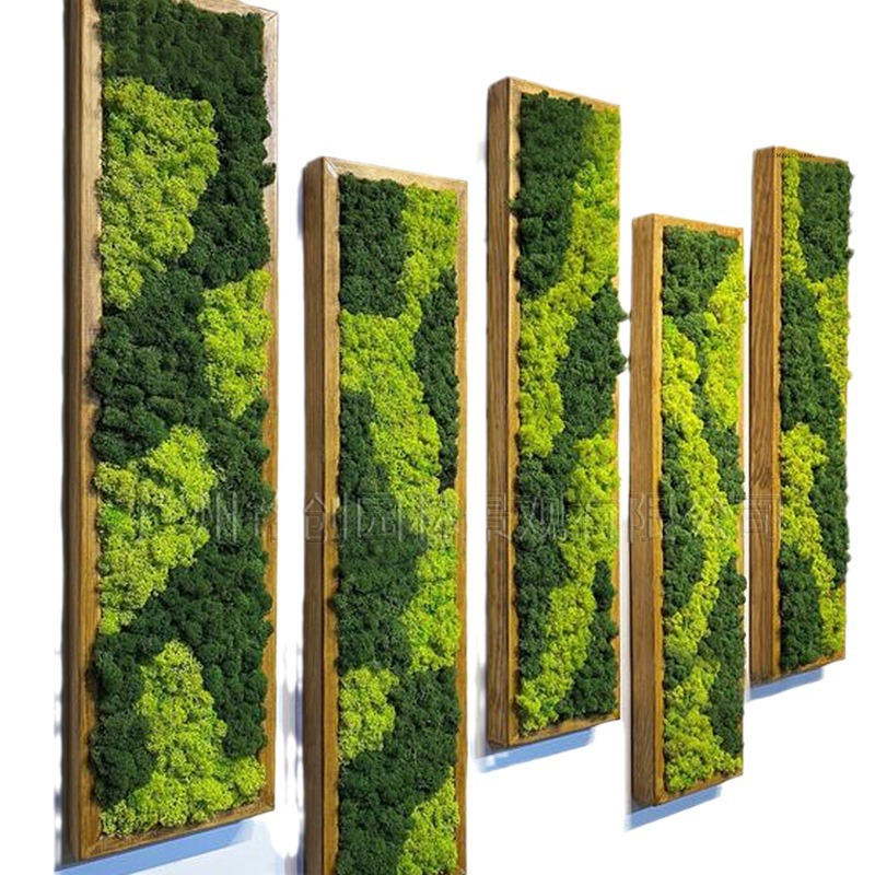 Decoración de pared de musgo inmortal, pared de plantas, paisaje de musgo falso, pintura diye, asta, pared de fondo de recepción, musgo inmortal