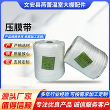 ���Ҵ��������Ĥ���S�����l�r�I�����߲��ù̶���Ĥ��