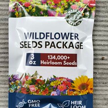 �羳��Ʒ�F؛The English for&ldquo;Ұ���N��&rdquo; is &zwnj;wildflower seed