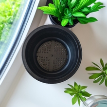 韩式多肉塑料花盆超大口径20厘米绿植盆乌木万象育苗盆景天盆