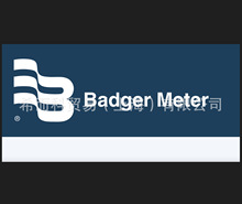 Badger Meter 1004GBN39HVXE60P36 y aƷݹ