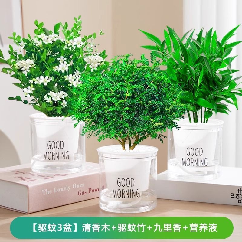 [모기퇴치 3대야] 향나무/모기퇴치대나무/구리향