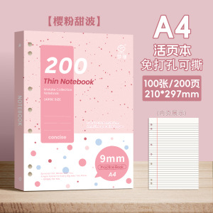 A4 / 100 folleto de papel