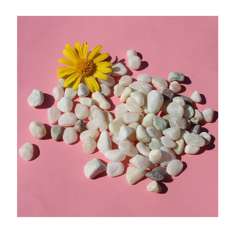 ˮͰ辰С״ɫŻ軨ʯ껨ʯʯ̵