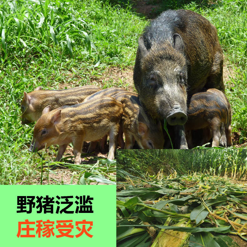 4G定位器-新款-2024详情页-抖店 - 中文-08