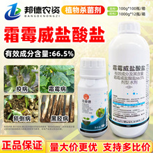 66.5%˪ù}}˪ù߲rș𽷹߲ú