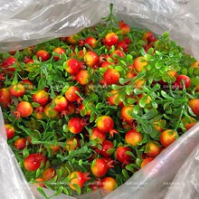 ���������ʯ����Ӽt���Ʒ�������ϲ�c���ՔzӰ���߷�����ֹ�