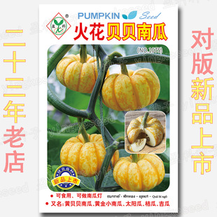 ��ؐؐ�ϹϷN�� �Sؐؐ�ϹϷN�� �S��С�Ϲ� ̫ꖹ� �۹� ����