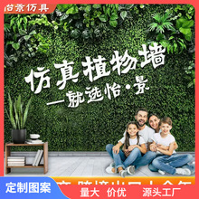 ?ֲ��쾰�b������ƺ�ٻ�����˾�̈����󠝸�������Gֲ