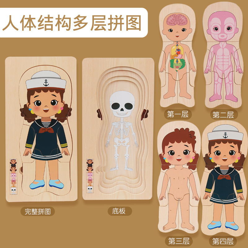 Ilustración científica de los niños estructura del cuerpo humano rompecabezas órgano anatomía hueso cognición educación temprana cuerpo vísceras rompecabezas juguete