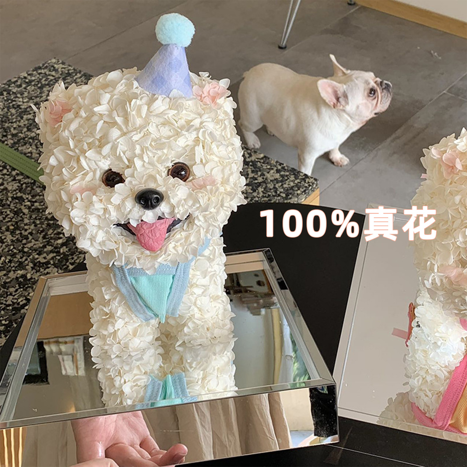 Flor eterna Hortensia Perro Maltsian Regalo de flores reales Confesión de bodas Regalo de cumpleaños de San Valentín Flor eterna Cachorro