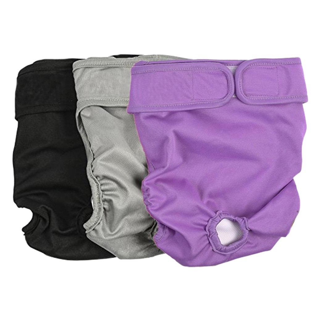 Pantalones fisiológicos para mascotas, pañales para perros, pantalones menstruales antiharasgo para perras, pañales para perros grandes image 1