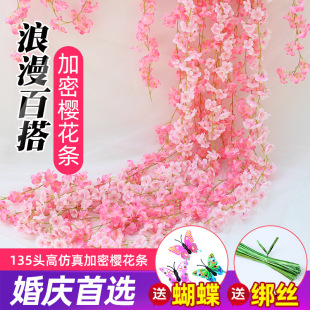 ����ѻ��ٗl�ٻ��ڒ���m���{ů��ܵ��ړ��҃ȵ�픻�c�b���