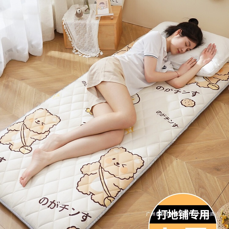 Special Sleeping Mat for Sleeping on the Floor, Soft Cushion for Student Dormitory Mattress, Foldableable Single Sponge Mattress, Rental Artifact