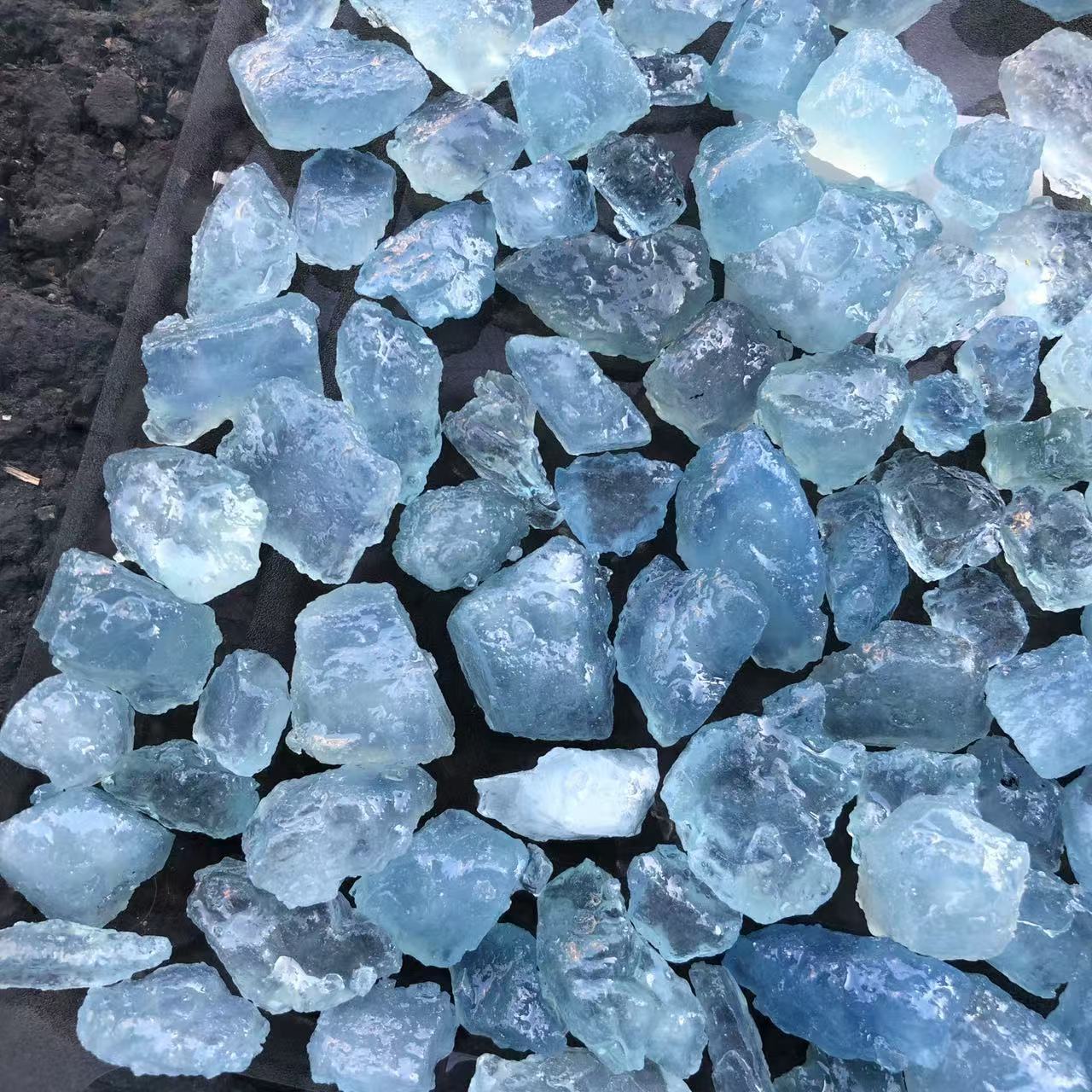 微信图片_202412191645191